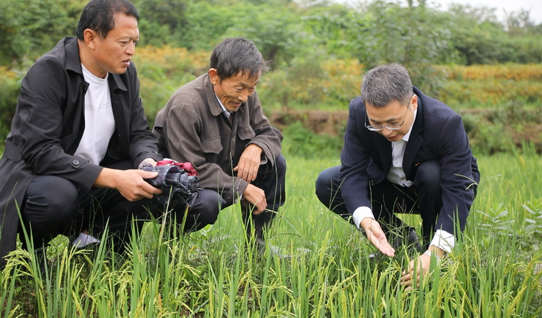 攻坚克难谋发展—记全省脱贫攻坚先进个人,荣县政协委员伍祁君